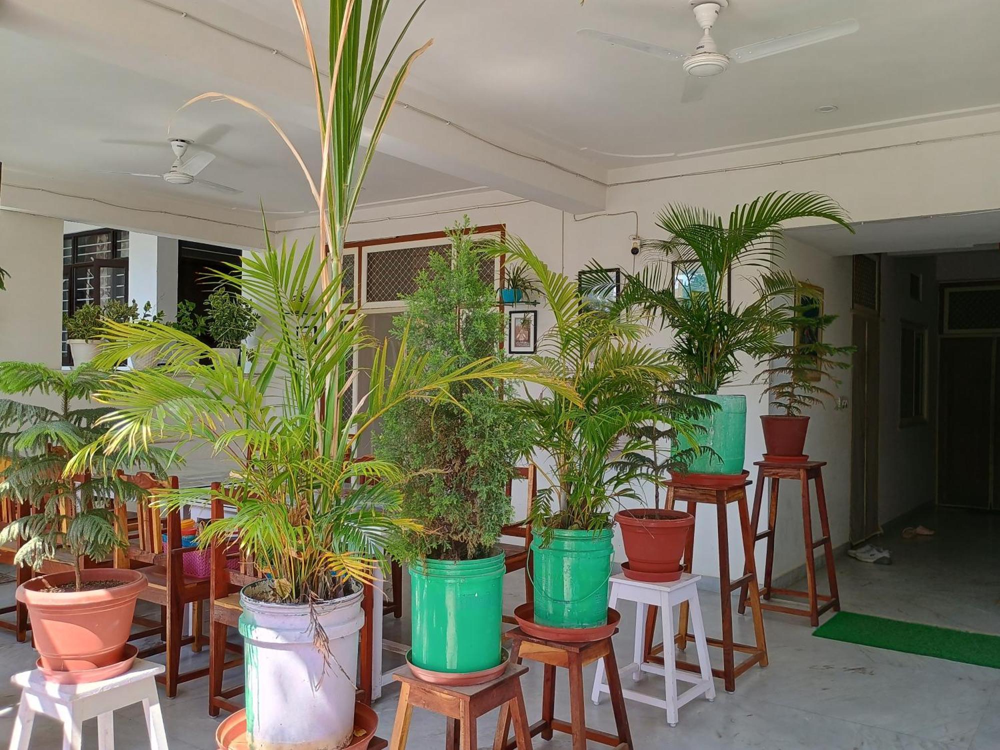 Choudhary White House Udaipur Apartman Kültér fotó