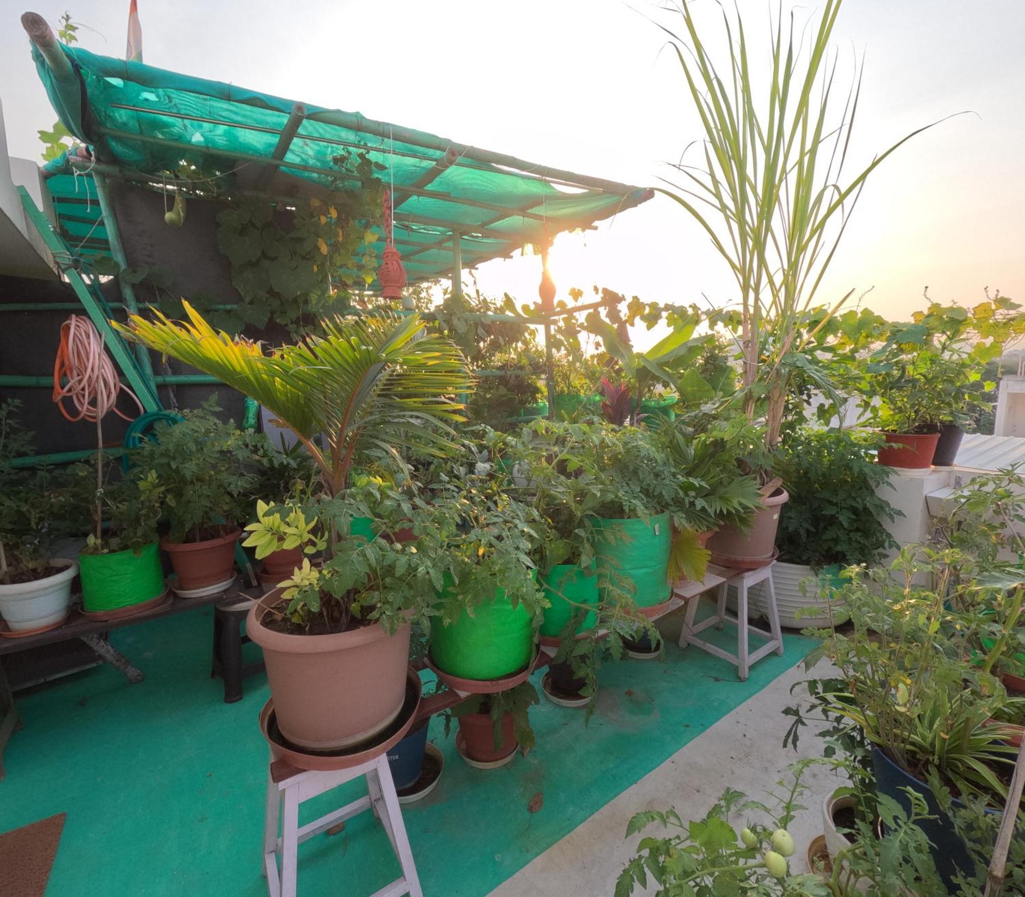 Choudhary White House Udaipur Apartman Kültér fotó